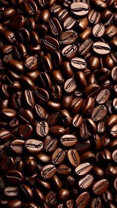كولومبي أرابيكا